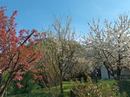 Frühlingsausfahrt